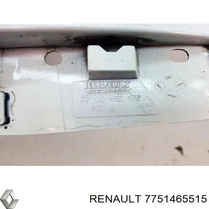 Compre Pára-lama dianteiro esquerdo Renault 21 