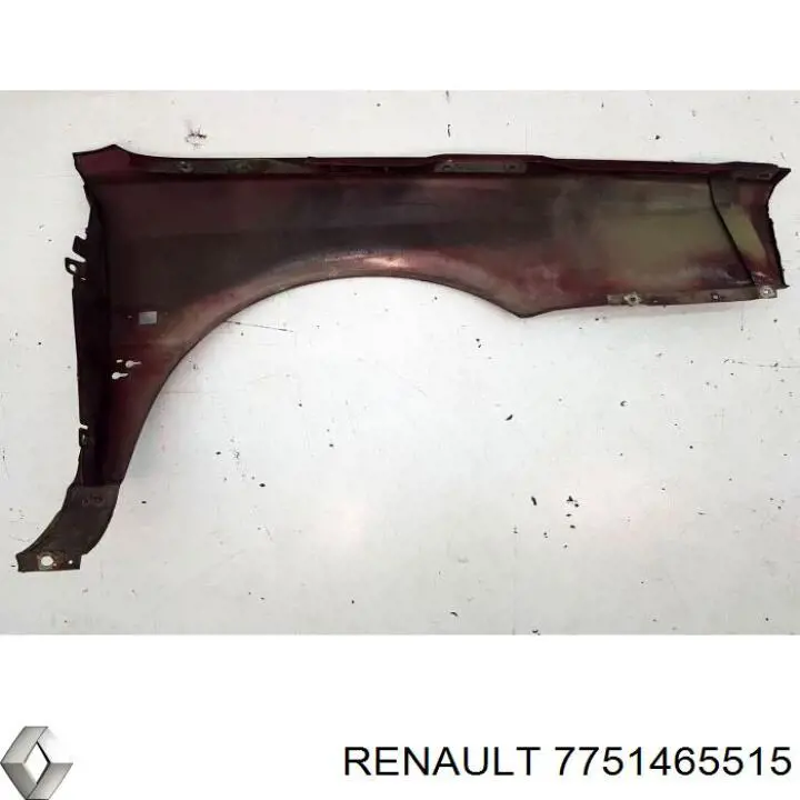 Pára-lama dianteiro esquerdo para Renault 21  B48