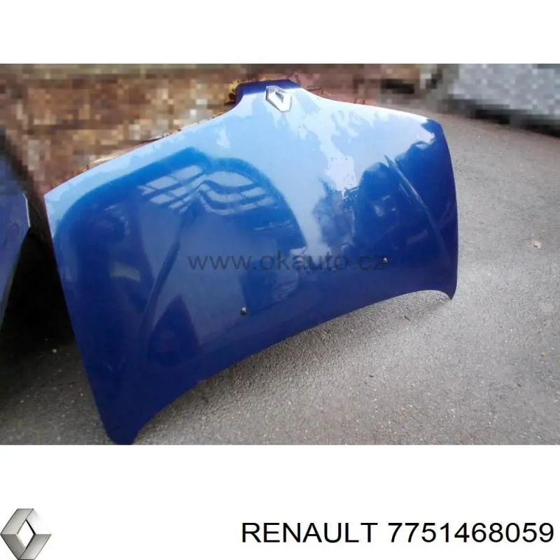 Капот на Renault Megane SCENIC (Рено Меган)