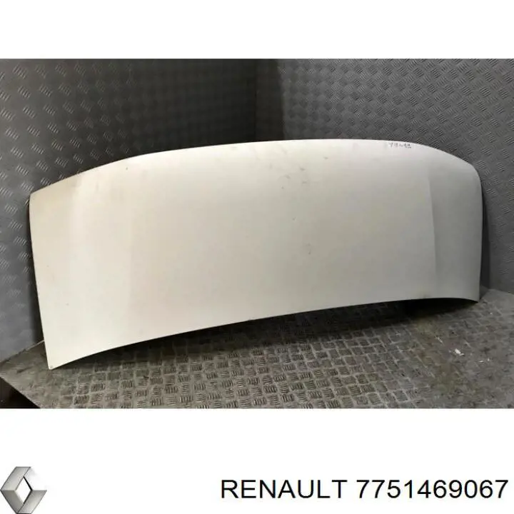 7751469067 Renault (RVI)