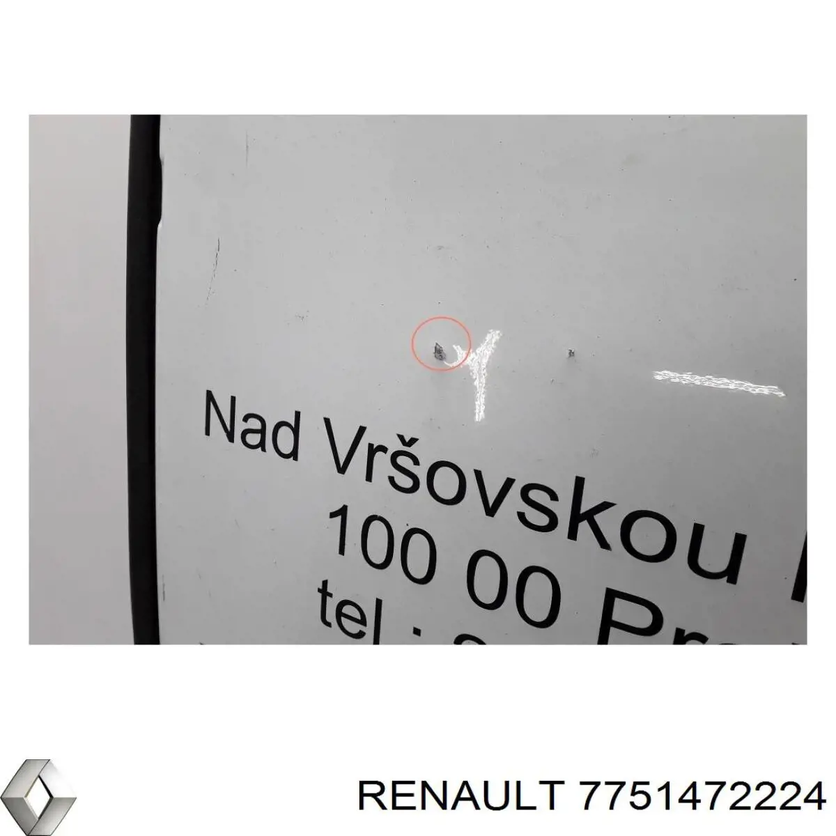 Дверь фургона задняя распашная правая 7751472224 Renault (RVI)