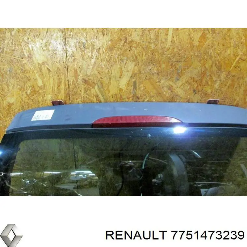 901501529R Renault (RVI) porta traseira (3ª/5ª porta-malas (tampa de alcapão)