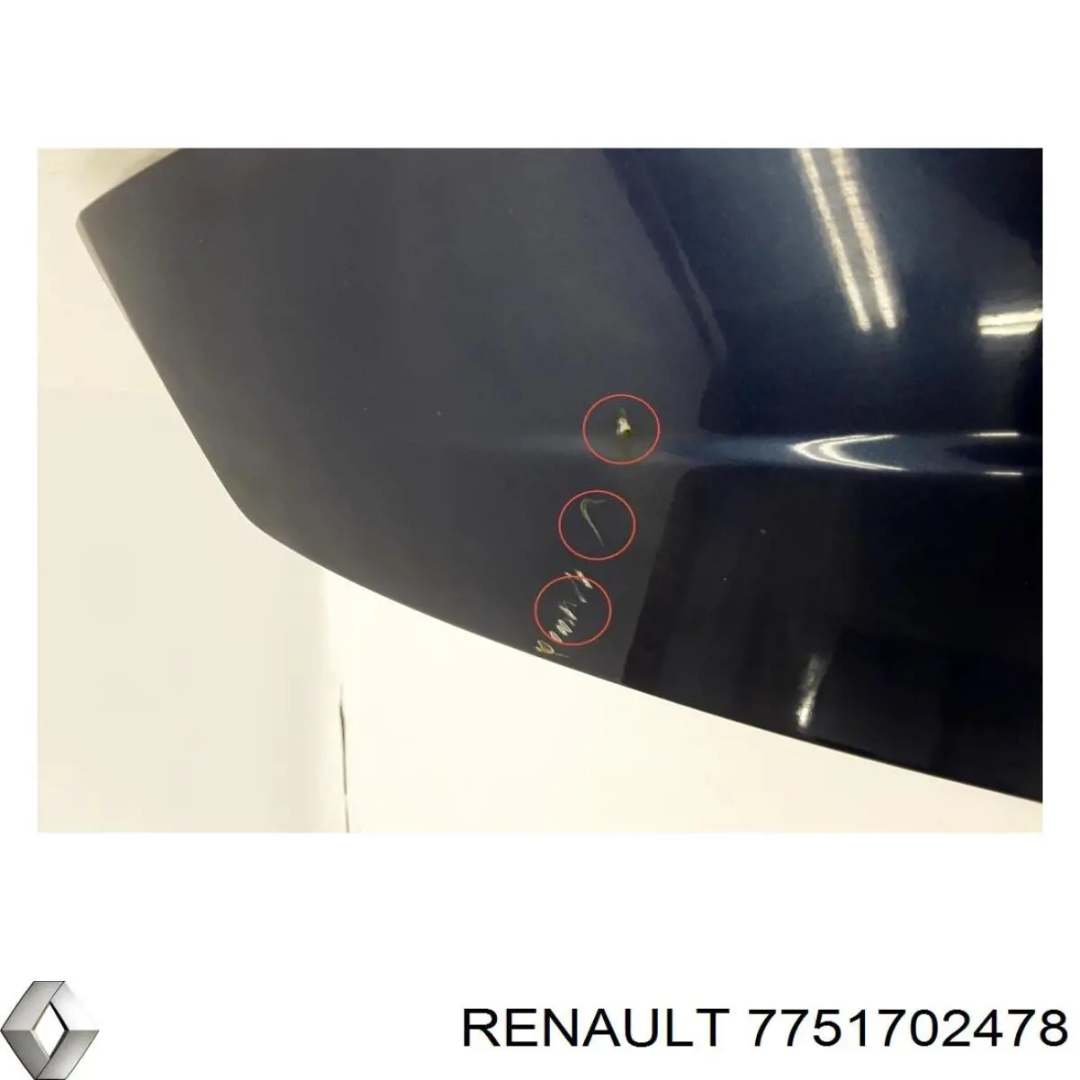 7751702478 Renault (RVI) Задняя дверь