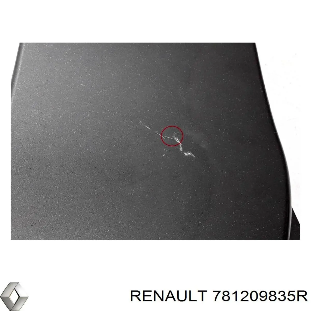  781209835R Renault (RVI)