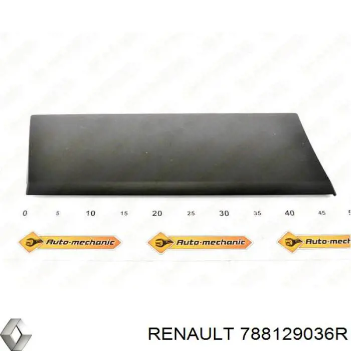 788129036R Renault (RVI) Накладка заднего правого крыла