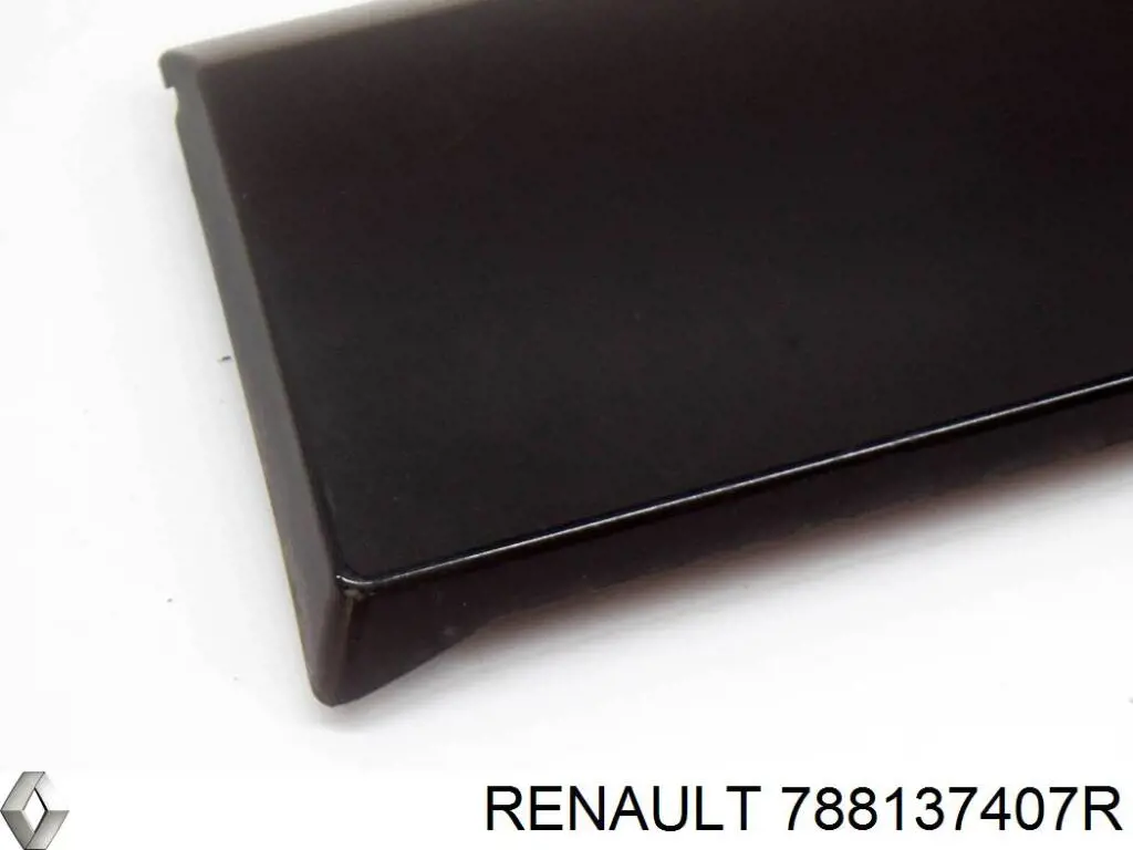 Накладка крыла заднего левого 788137407R Renault (RVI)