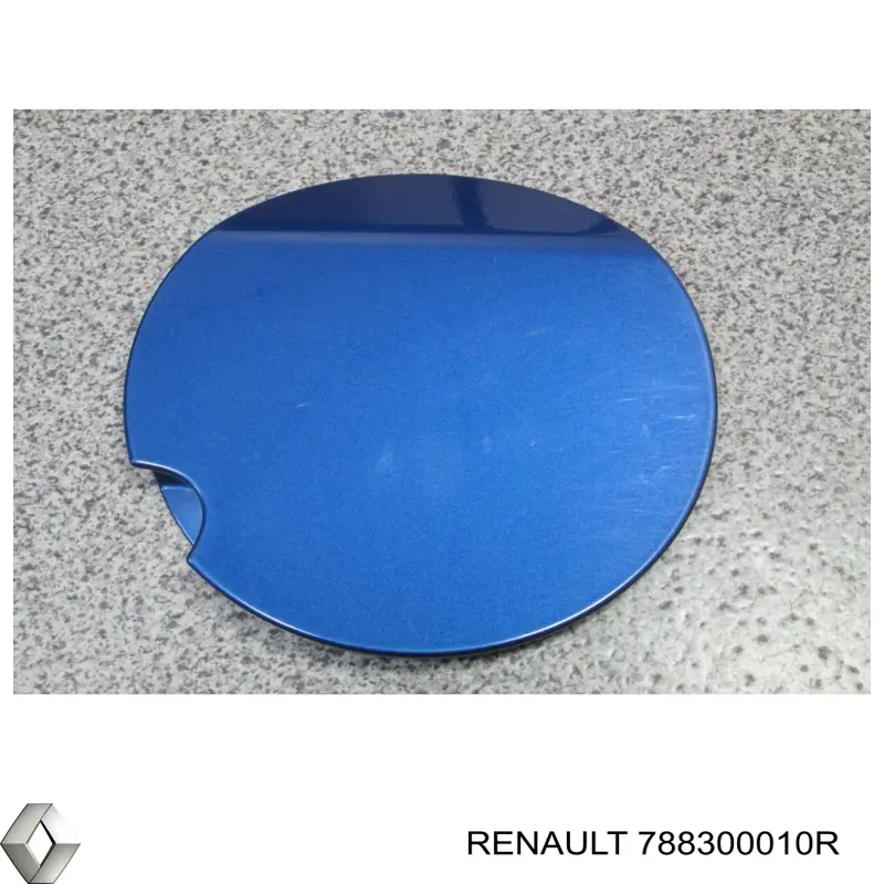  788300010R Renault (RVI)