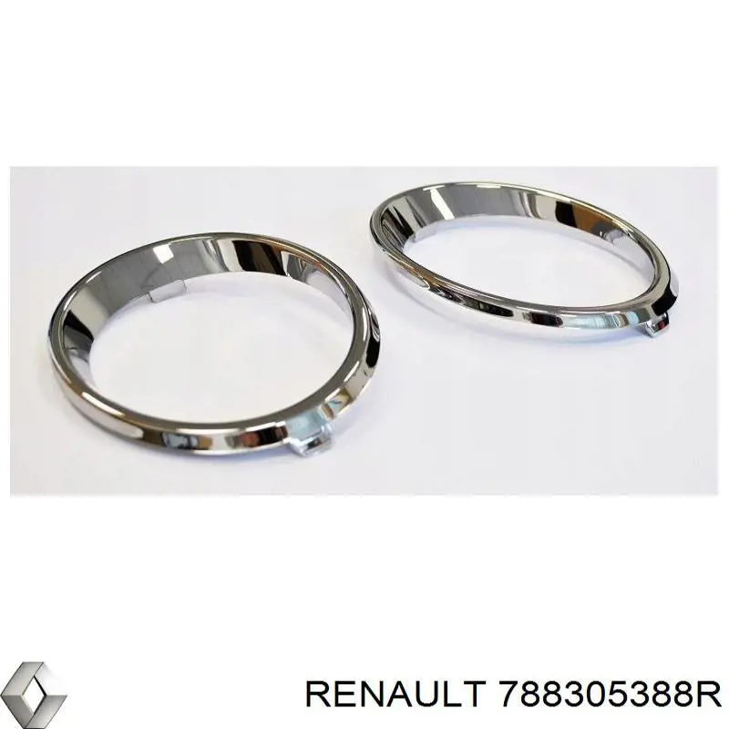  Renault (RVI) 788305388R цена, от 315.37 USD