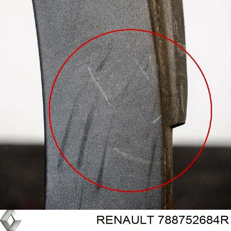 Расширитель (накладка) арки заднего крыла левый 788752684R Renault (RVI)
