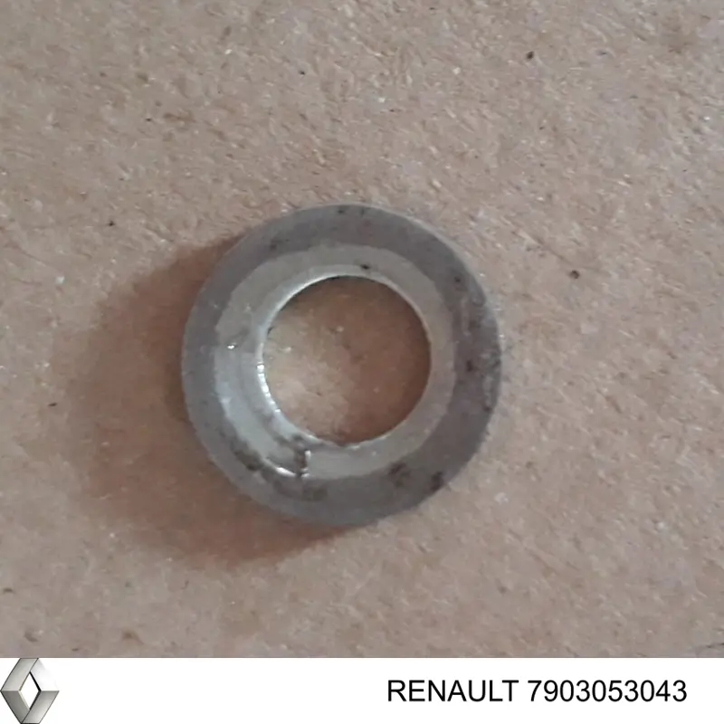  7903053043 Renault (RVI)