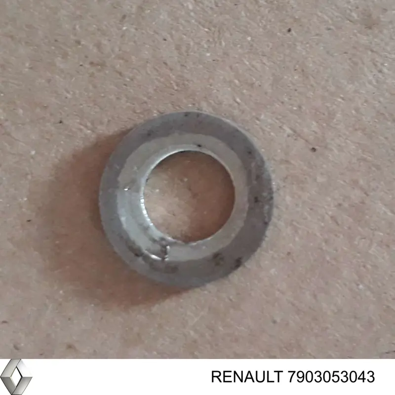 Шайба форсунки верхняя Renault (RVI) 7903053043 цена, от 0.51 USD