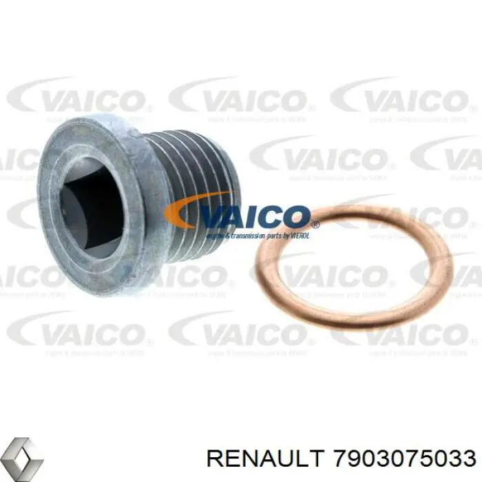 Tapón roscado, colector de aceite 7903075033 Renault (RVI)