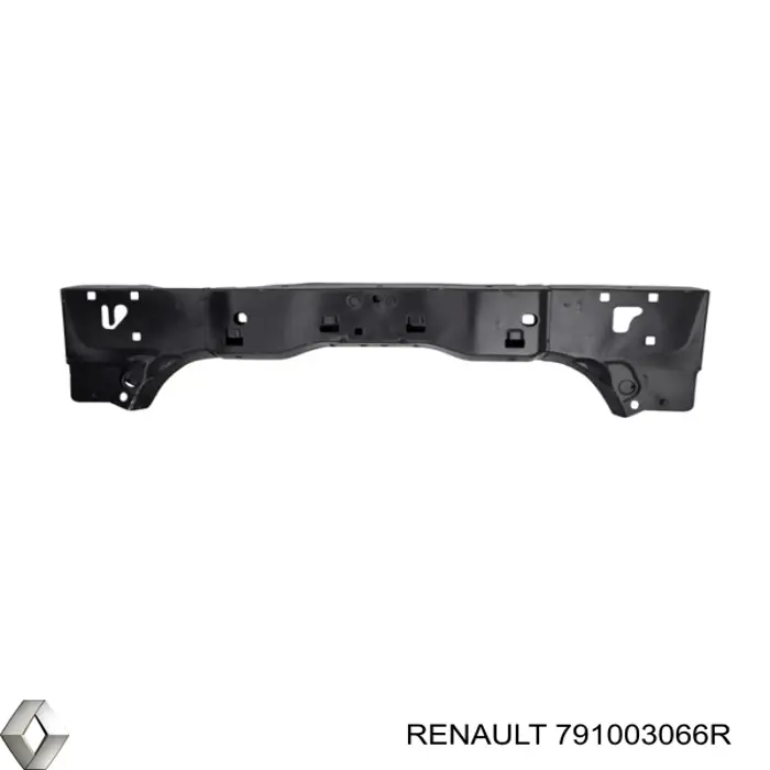  791003066R Renault (RVI)