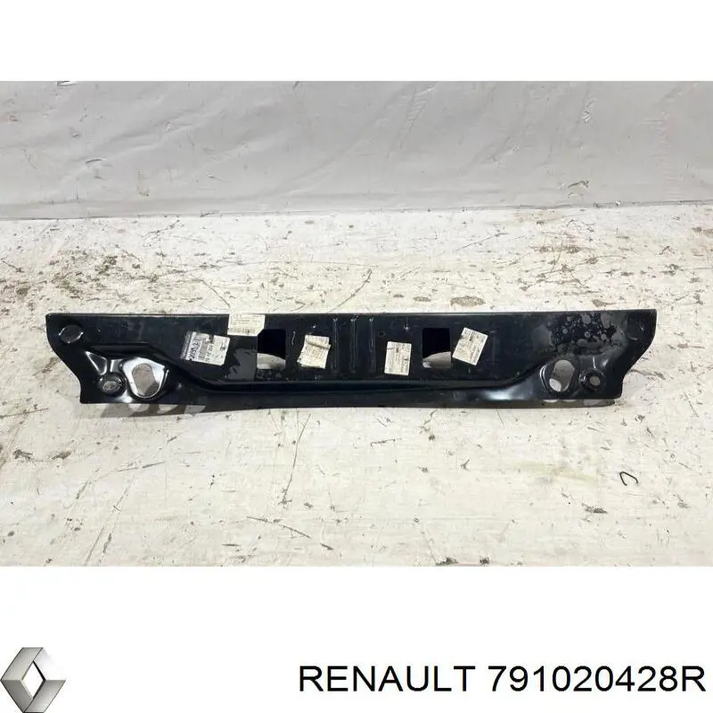 791020428R Renault (RVI) 