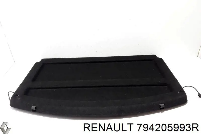 Купить 794205993R Renault (RVI) 