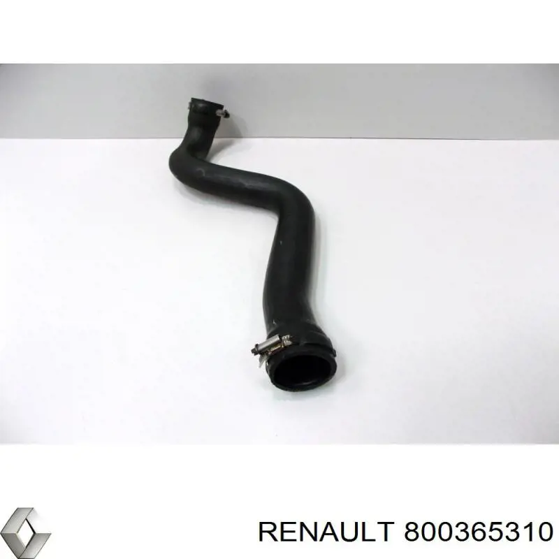 800365310 Renault (RVI) 