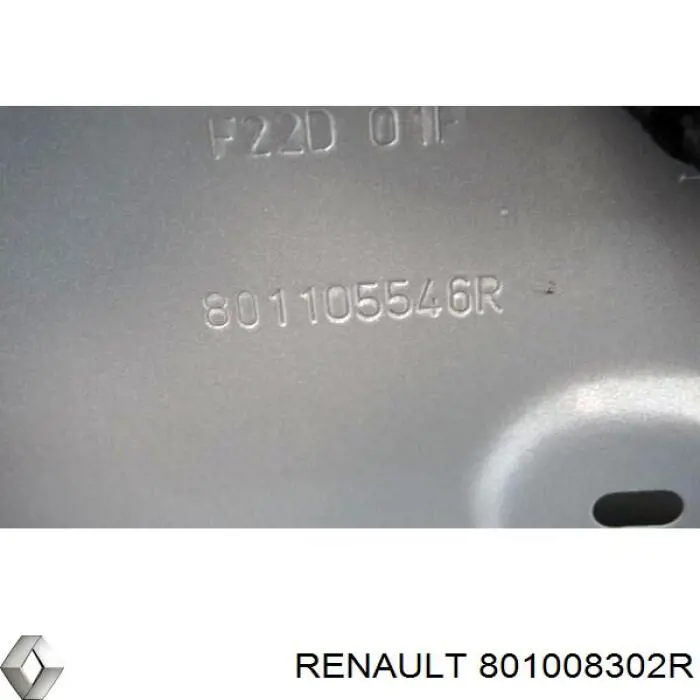Пассажирская передняя дверь Renault (RVI) 801008302R
