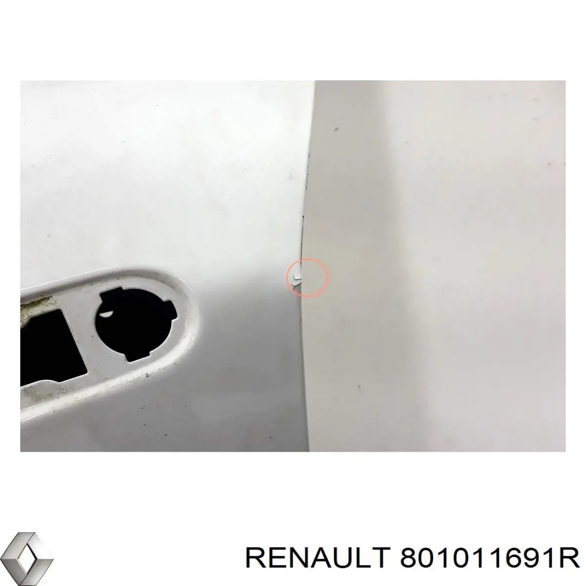 Купить 801011691R Renault (RVI) Дверь передняя, левая