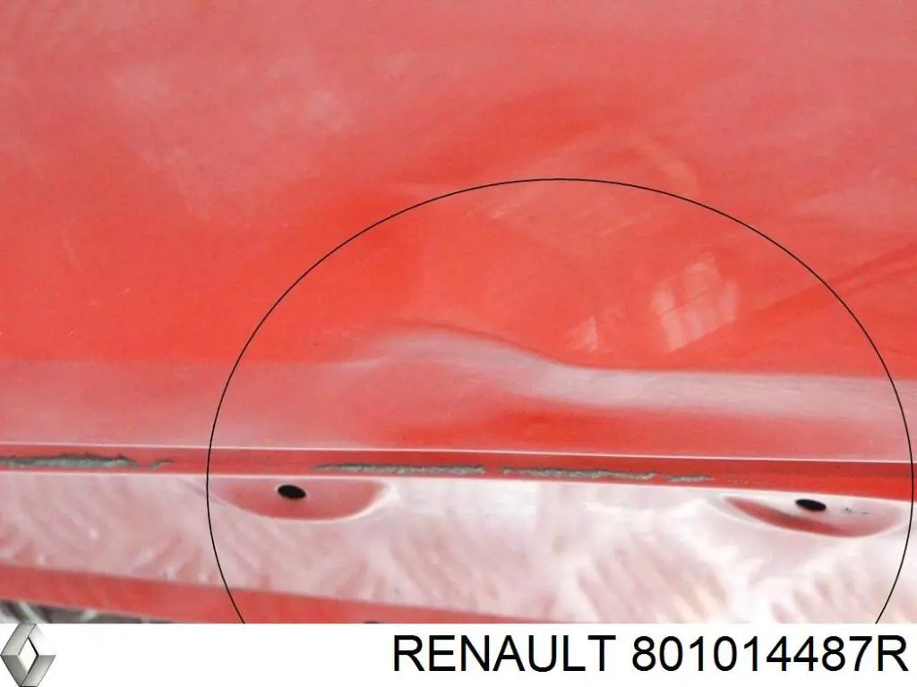  801014487R Renault (RVI)