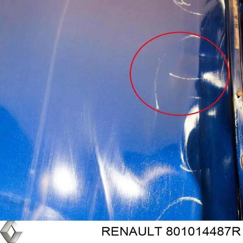 Купить 801014487R Renault (RVI) Дверь передняя, левая