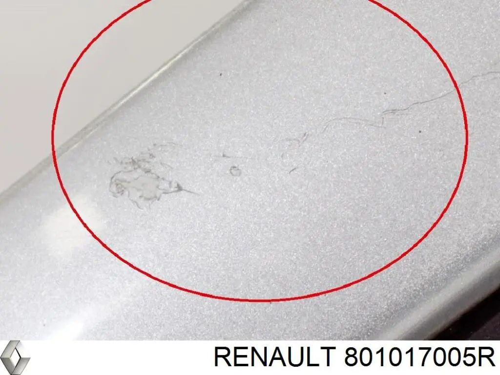 Купить 801017005R Renault (RVI) Дверь передняя, левая