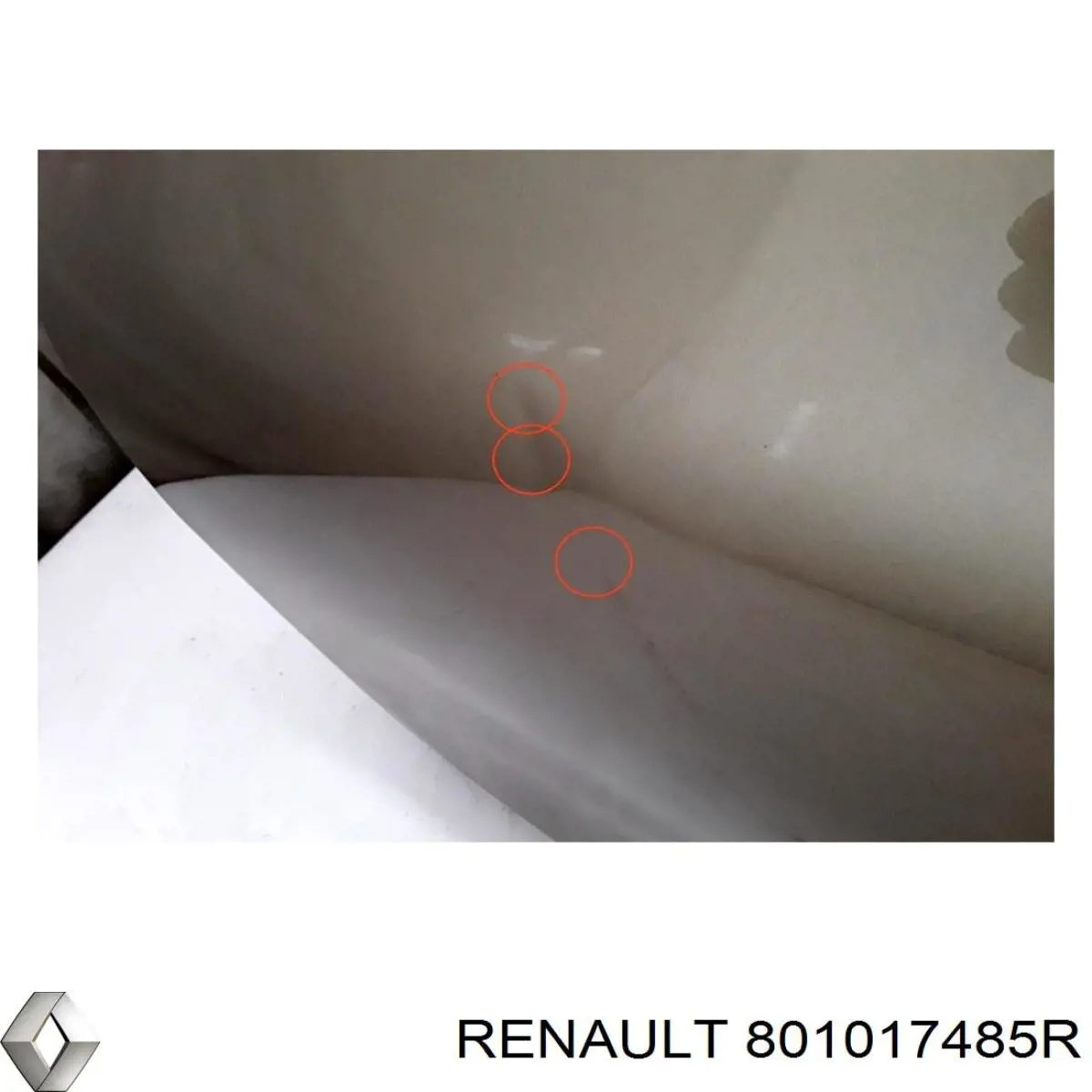 Двери Renault (RVI) 801017485R