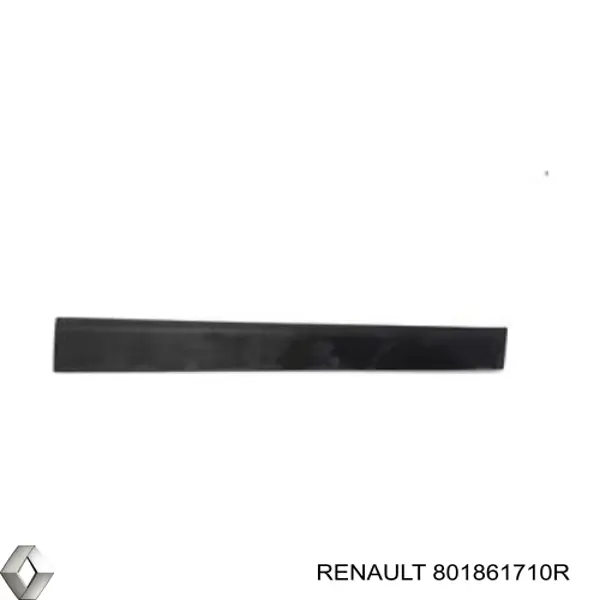801866331R Renault (RVI) молдинг двери передней правой