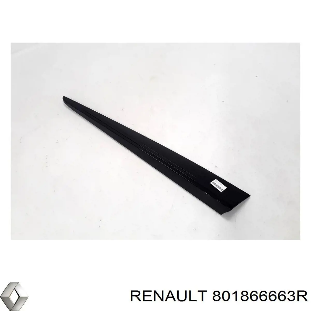 801866663R Renault (RVI) 