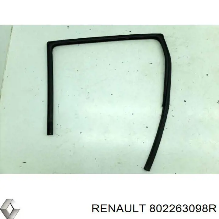  802263098R Renault (RVI)