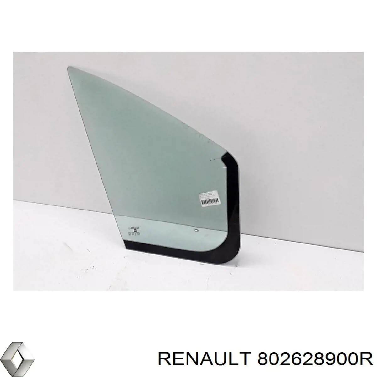  802628900R Renault (RVI)