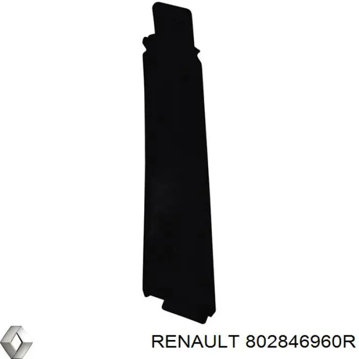  802846960R Renault (RVI)