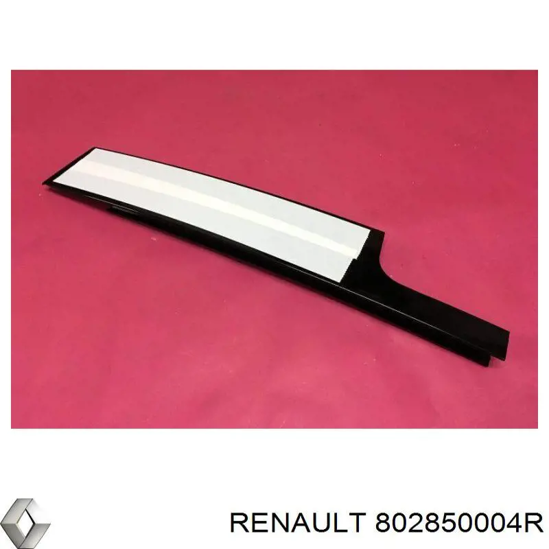 802850004R Renault (RVI) 