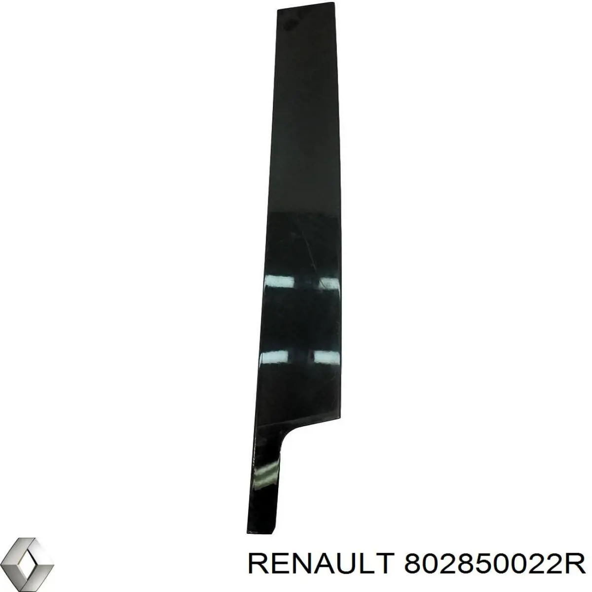 802850022R Renault (RVI) 