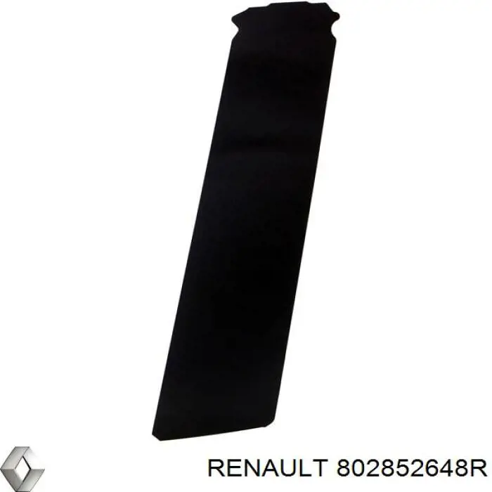 802852648R Renault (RVI) 