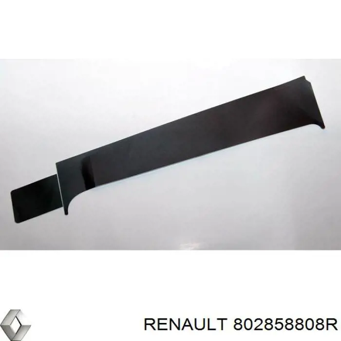 802858808R Renault (RVI) 
