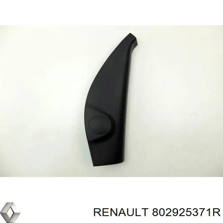 802925371R Renault (RVI) 