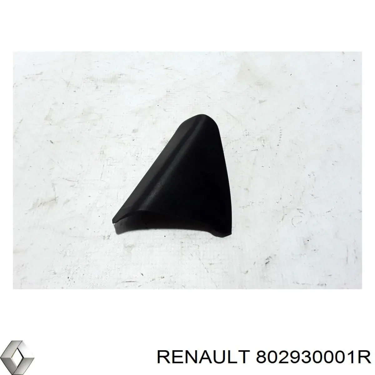 802930001R Renault (RVI) 