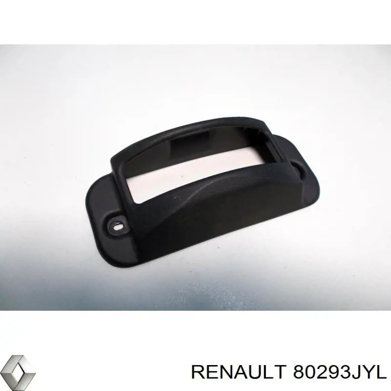  80293JYL Renault (RVI)