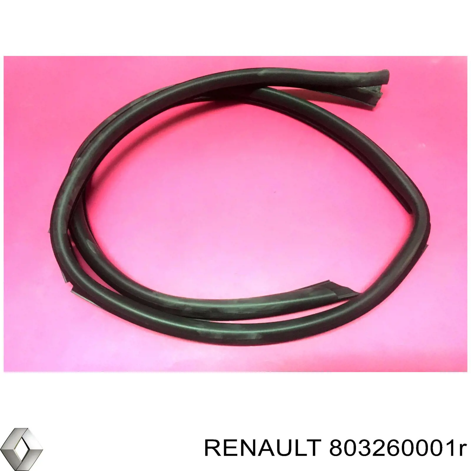 803260001R Renault (RVI) 