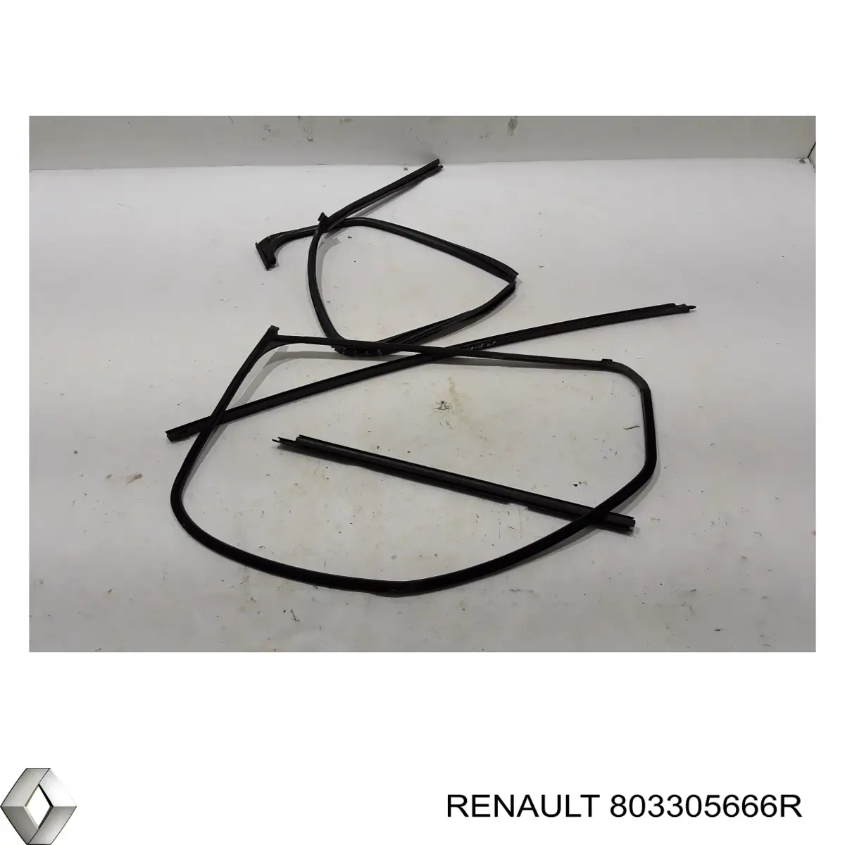  803305666R Renault (RVI)