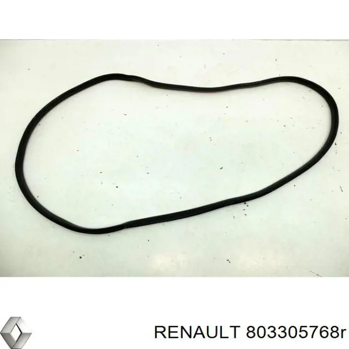 Купить 803305768R Renault (RVI) 