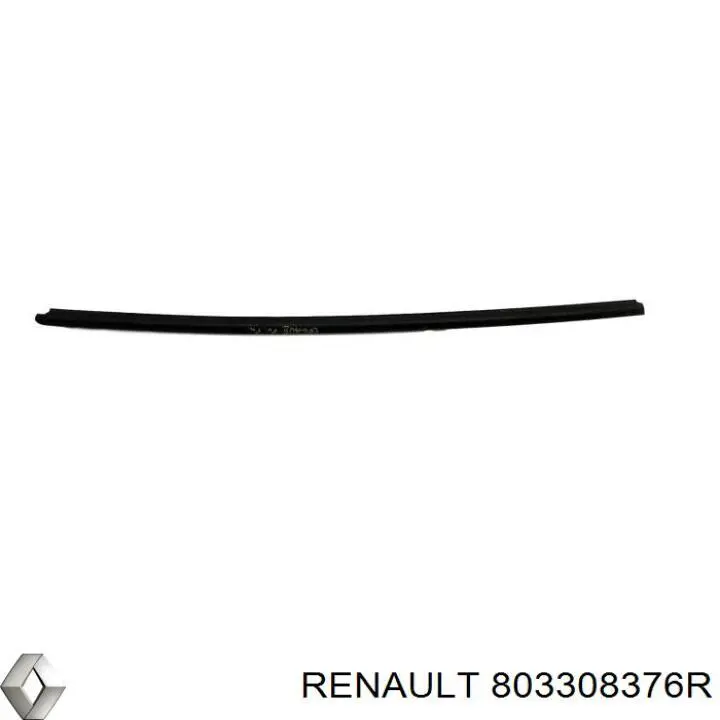 803308376R Renault (RVI) 