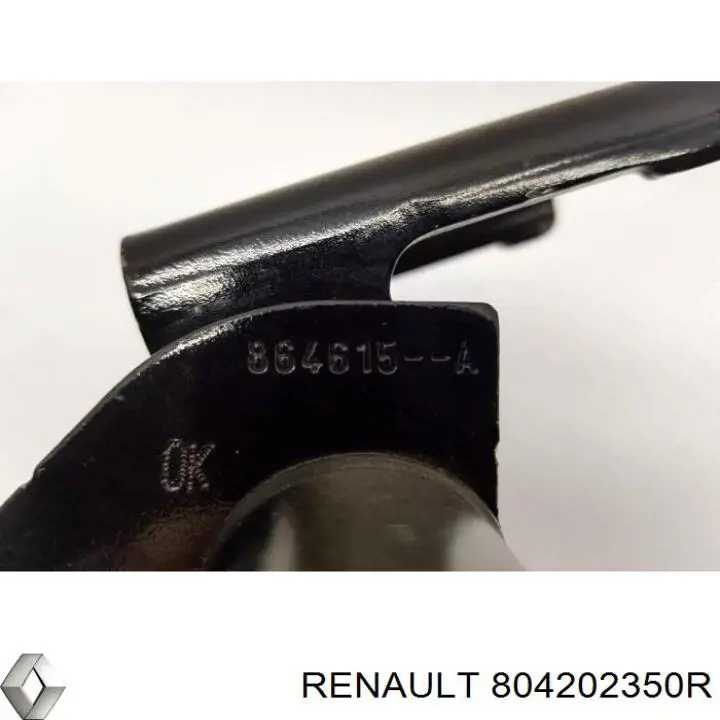 Петля двери передней правой 804202350R Renault (RVI)