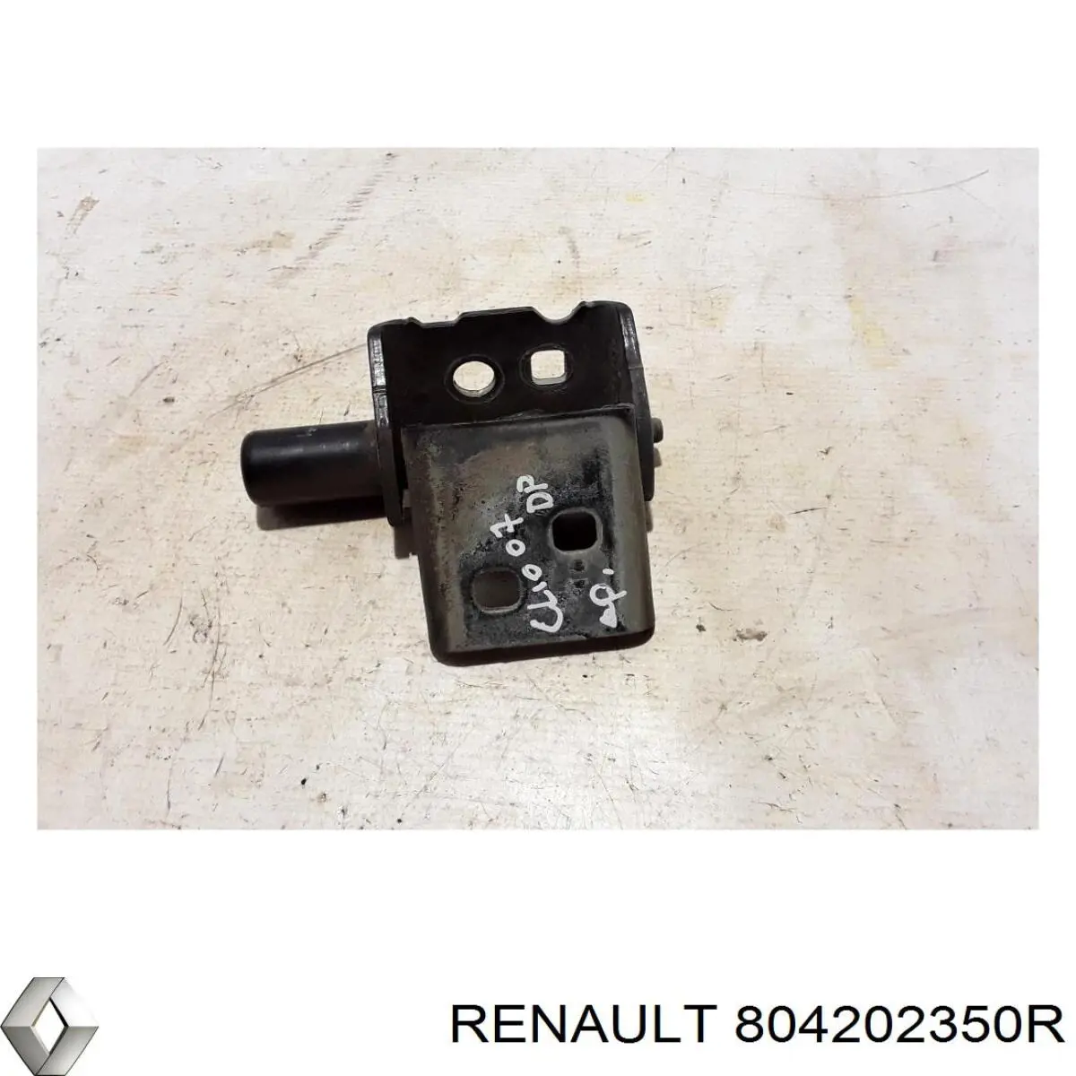 804202350R Renault (RVI) Завеса двери передней правой