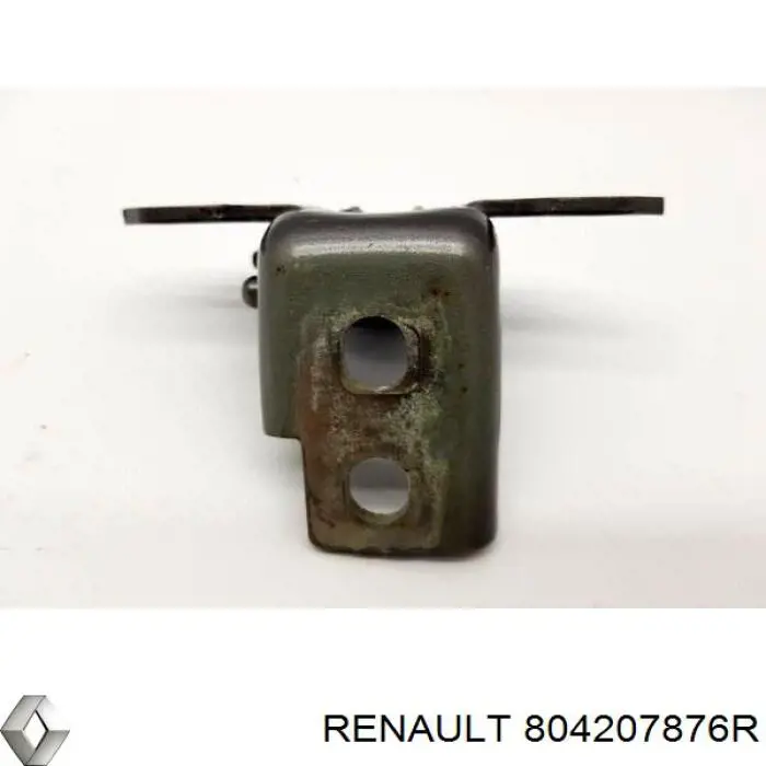 804207876R Renault (RVI)