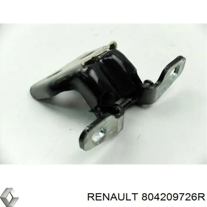 804209726R Renault (RVI) gozno da porta dianteira