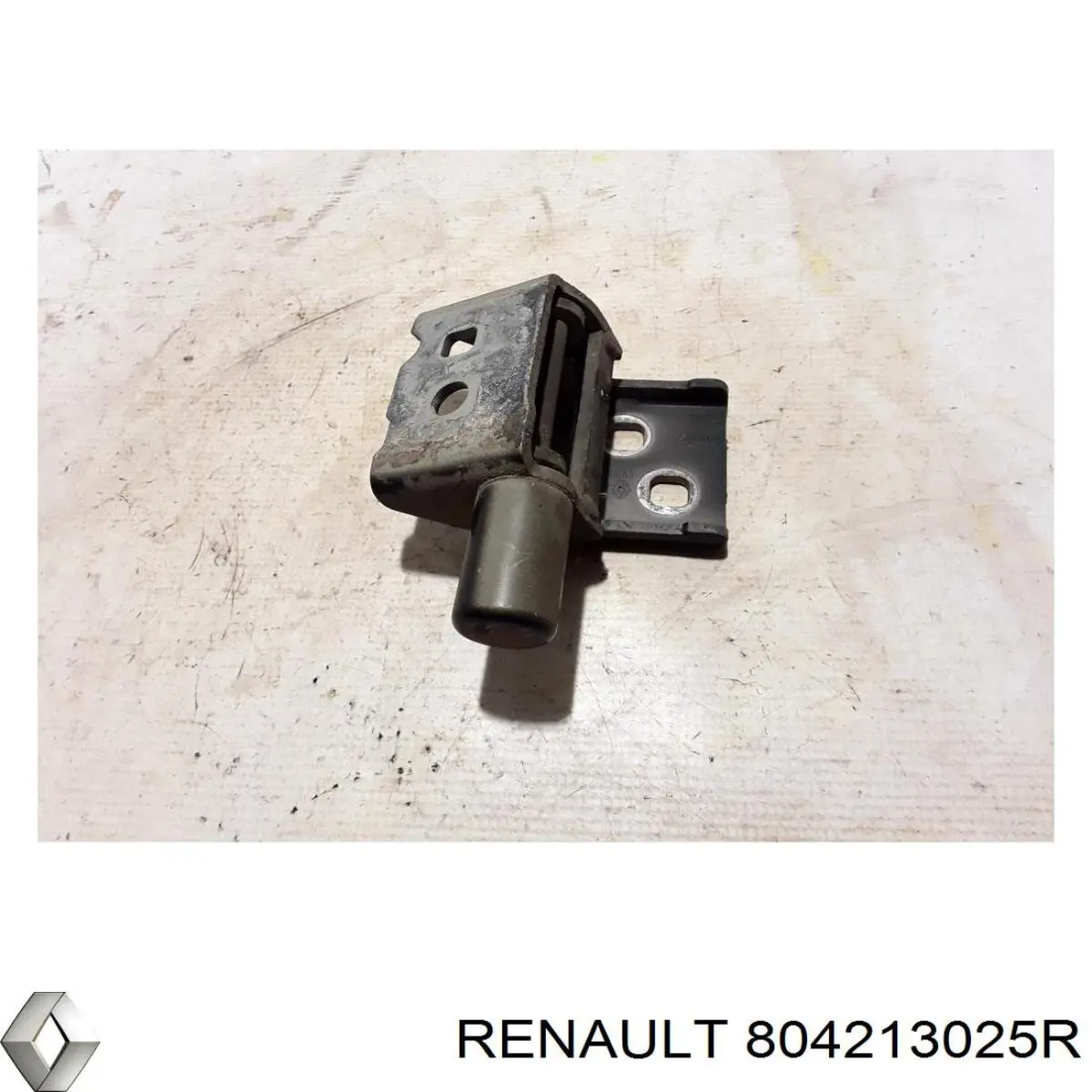 Петля двери передней левой 804213025R Renault (RVI)