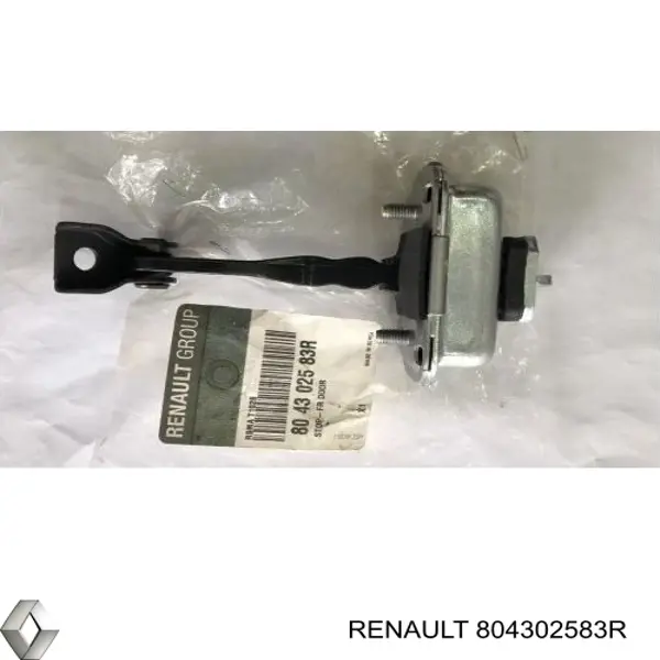 804302583R Renault (RVI) 