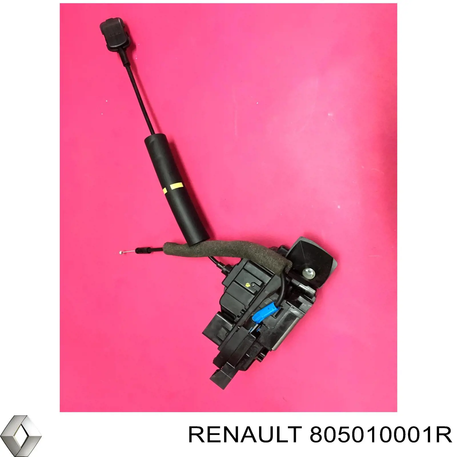  805010001R Renault (RVI)