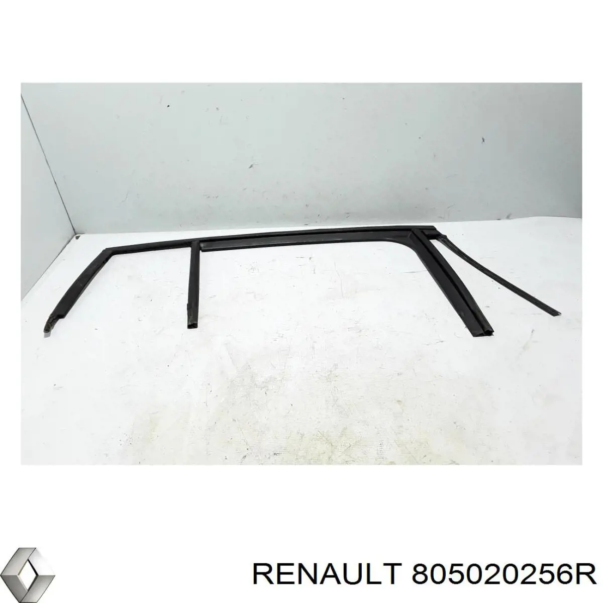 Купить 805020256R Renault (RVI) 